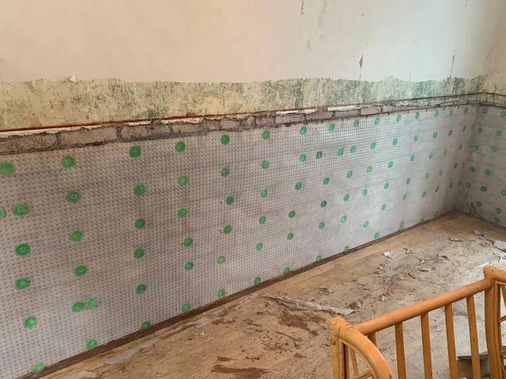Mesh membrane fixed to a hacked-off solid wall, with a band of green mould staining and salting visible on the remaining plaster above.